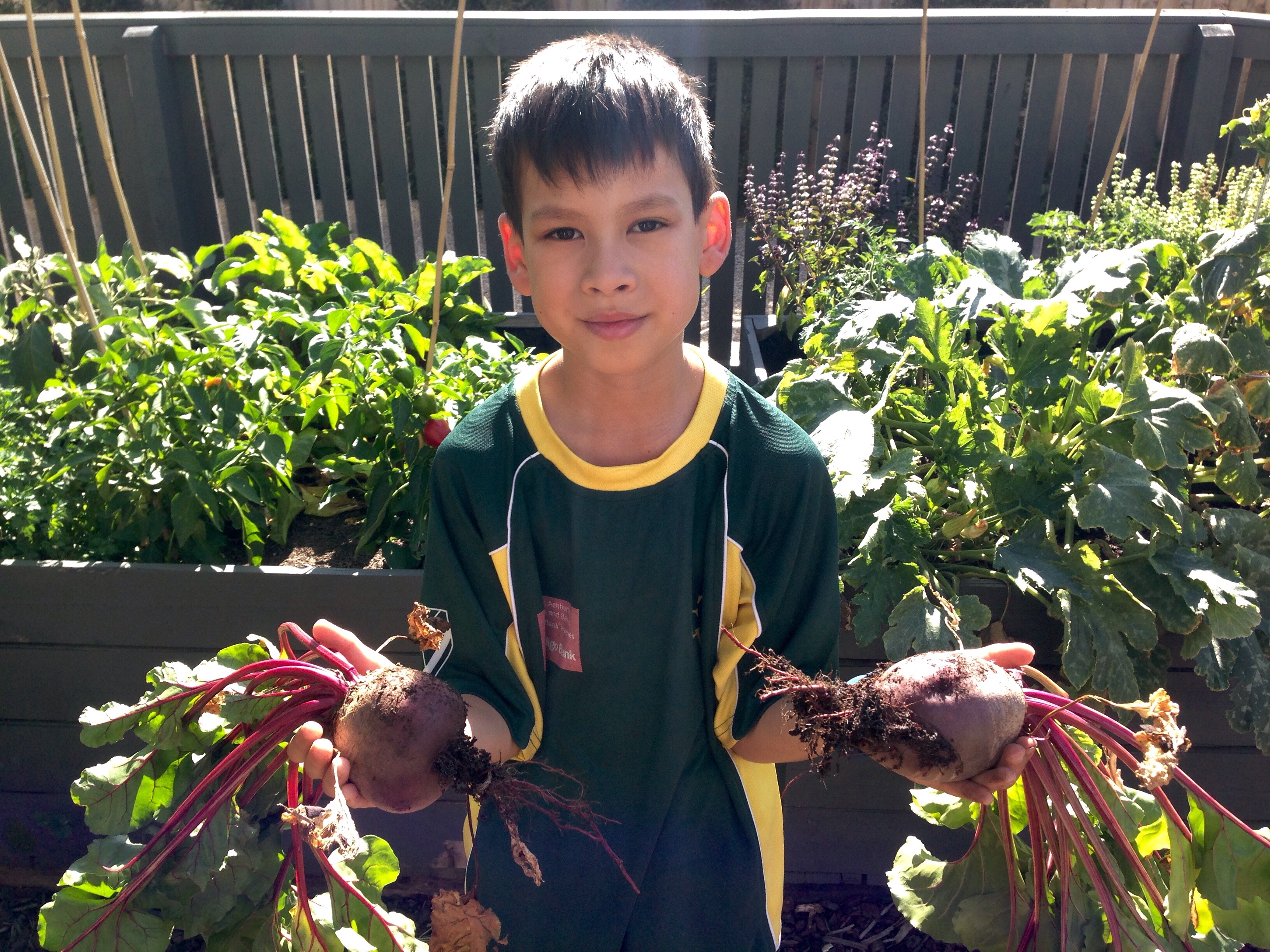 Harvest some veg