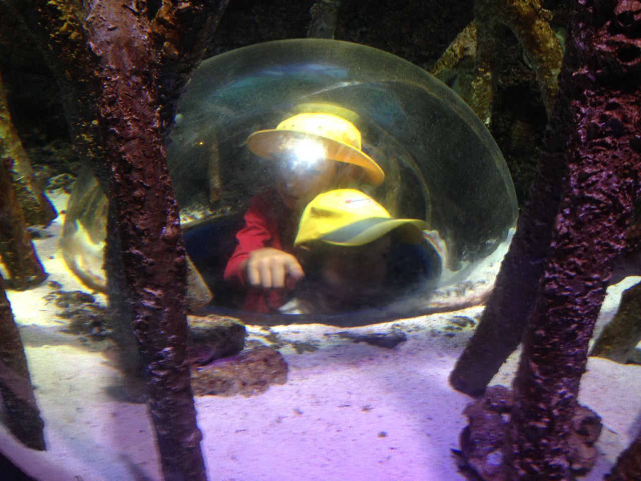 Day at the Aquarium