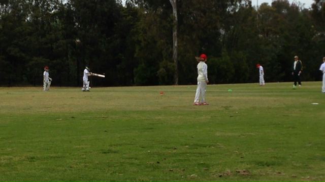 Tane’s second cricket game